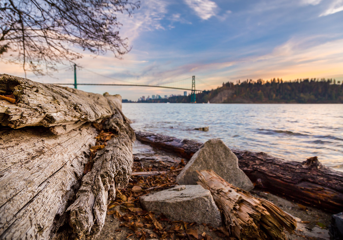 View of Lions Gate Bridge and downtown skyline from a beach